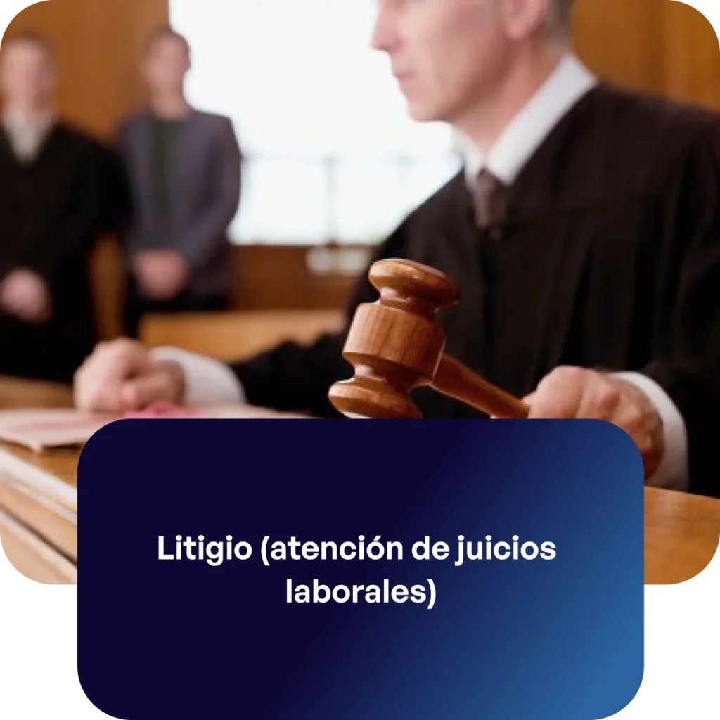 Servicio litigio