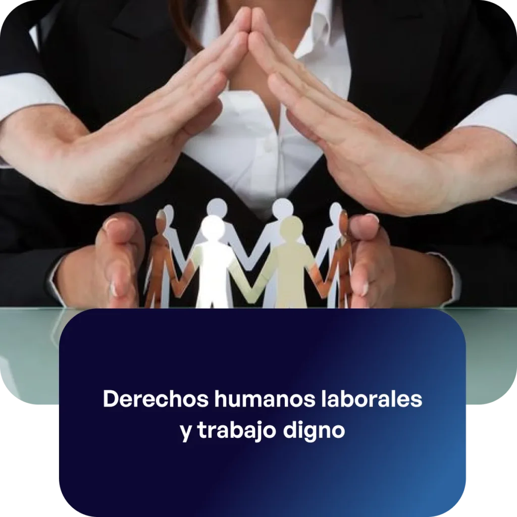 Servicio derechos humanos laborales y trabajo digno